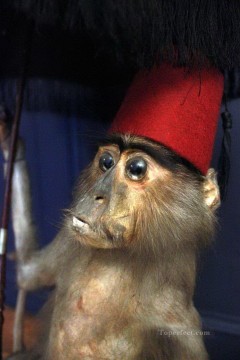  rojo Pintura - pequeño mono con sombrero rojo
